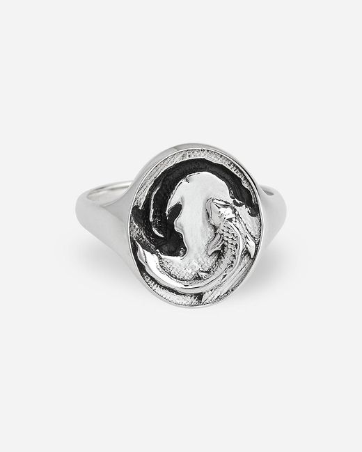 J.Crew Metallic Talon Jewelry Zodiac Signet Ring