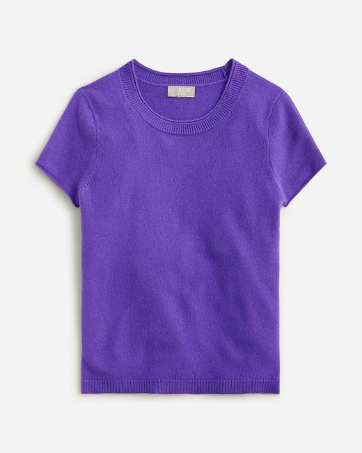 J.Crew Purple Cashmere Relaxed T-Shirt