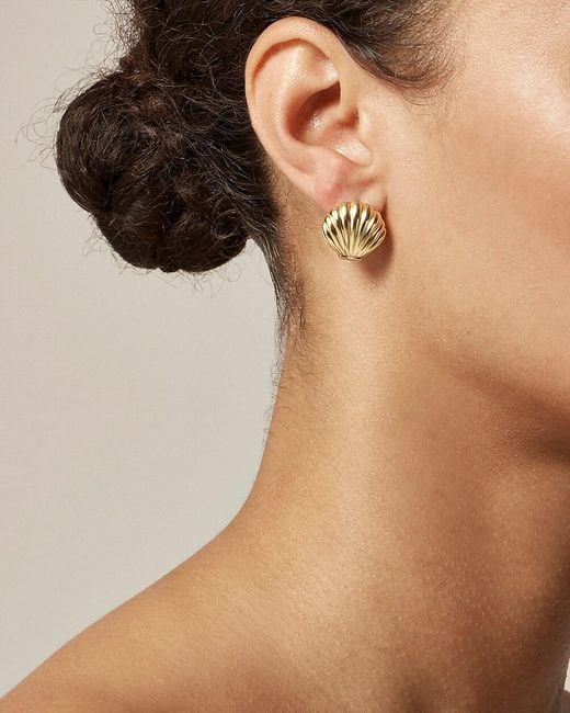 J.Crew Brown Double-Sided Shell Stud Earrings
