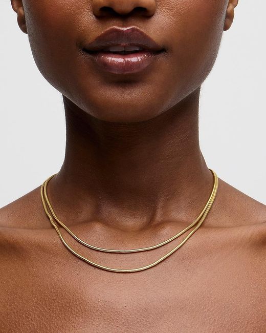 J.Crew Brown Layered Chain Necklace