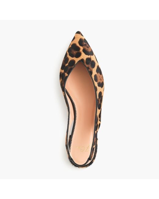 J.Crew Multicolor Pointed-toe Slingback Flats In Leopard Calf Hair