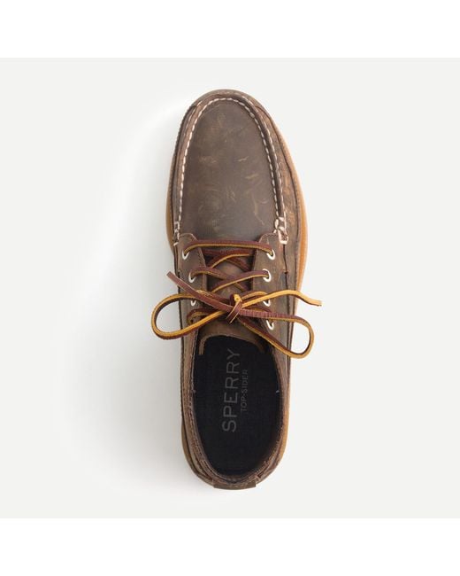 sperry chukka