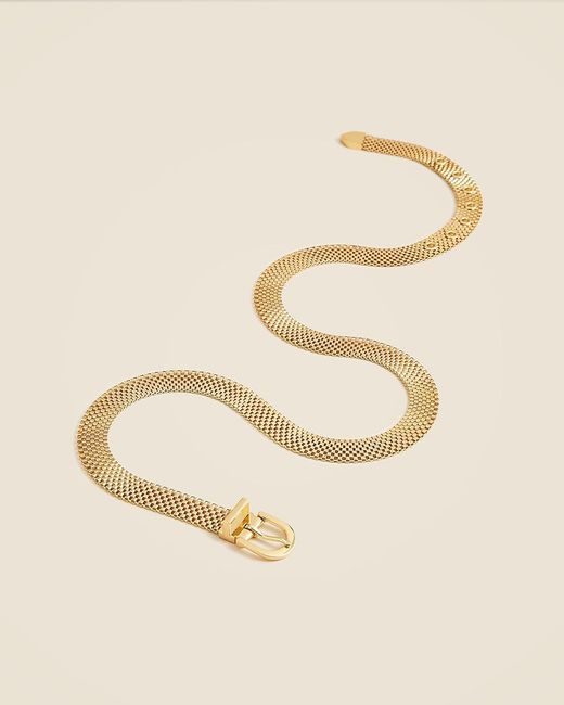 J.Crew Natural Watchband Chain Belt