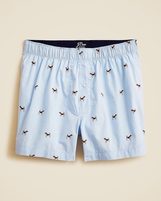 J.Crew Blue Patterned Boxers for men