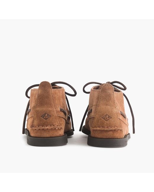 Sperry suede chukka sale