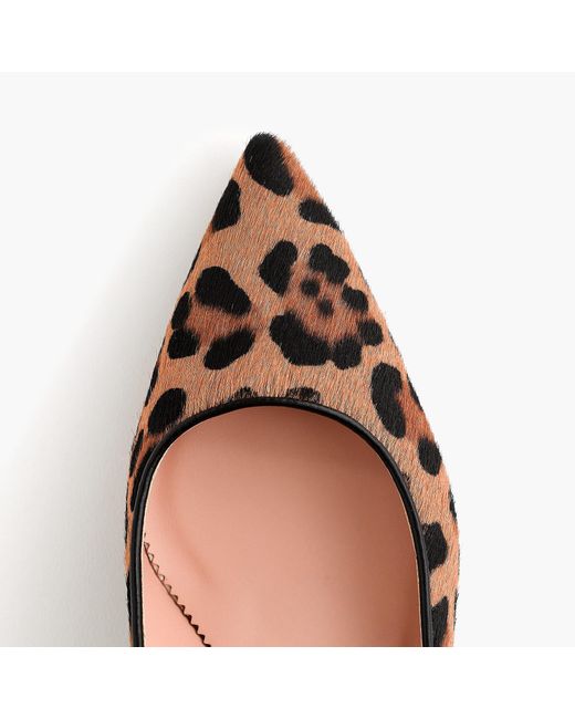 j crew laney pumps with bow