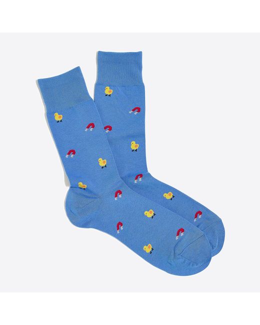 J.Crew Blue Chick Magnet Socks for men