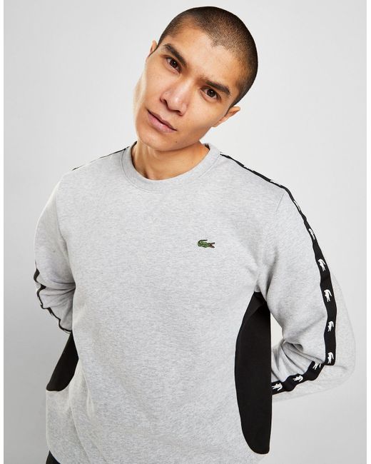 Lacoste tape sweatshirt sale
