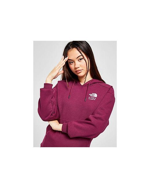 the north face overhead graphic hoodie
