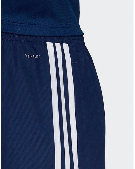 blue adidas tracksuit pants