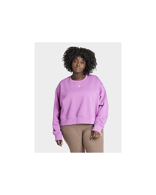 Adidas Originals Purple Adicolor Essentials Crew Sweatshirt (plus Size)