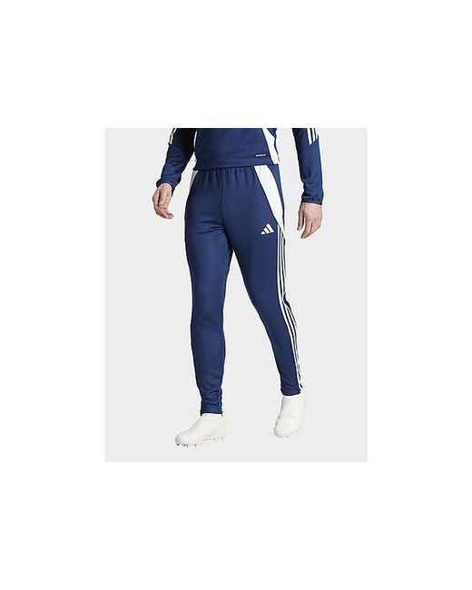 Adidas Blue Tiro 24 Training Track Pants for men