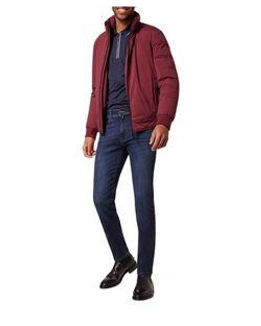 Pierre Cardin Herren Jeans Pc-Lyon in Blue für Herren