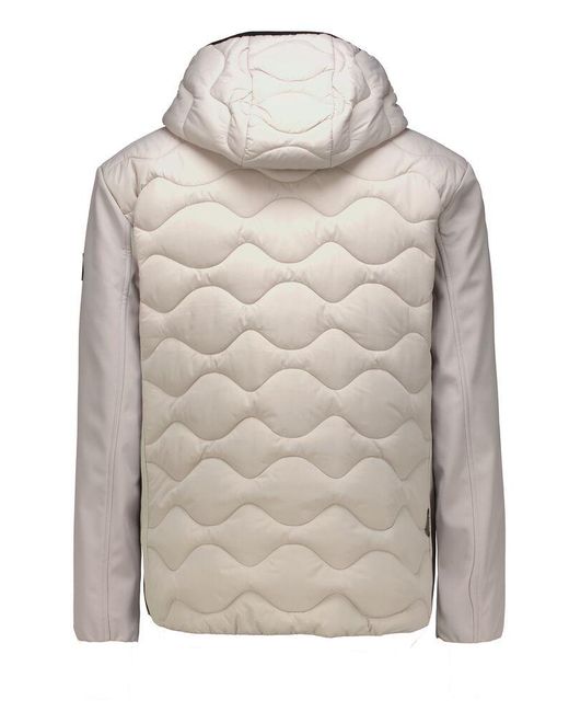 Garcia Softshell Jas Licht in het Gray voor heren