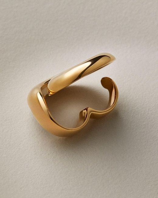 Jenny Bird Metallic Renzo Double Ring