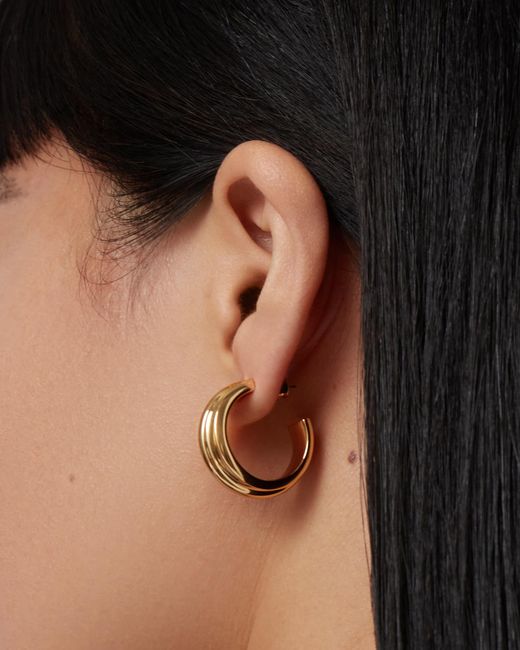 Jenny Bird Metallic Lennon Hoop Earrings