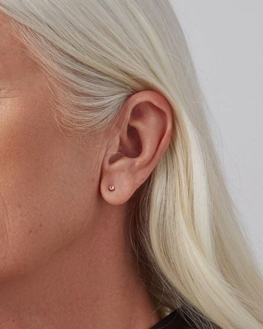 Jenny Bird Natural Micro Stud Earrings