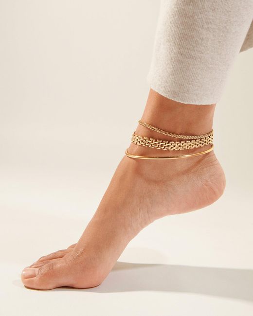 Jenny Bird Metallic Francis Anklet