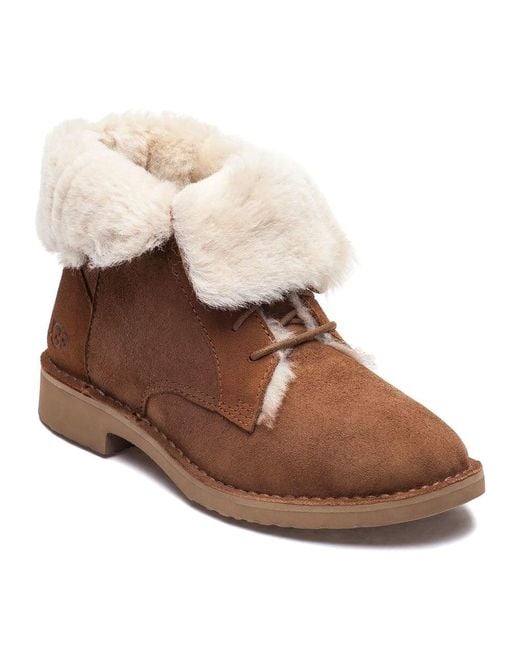 ugg quincy lace up