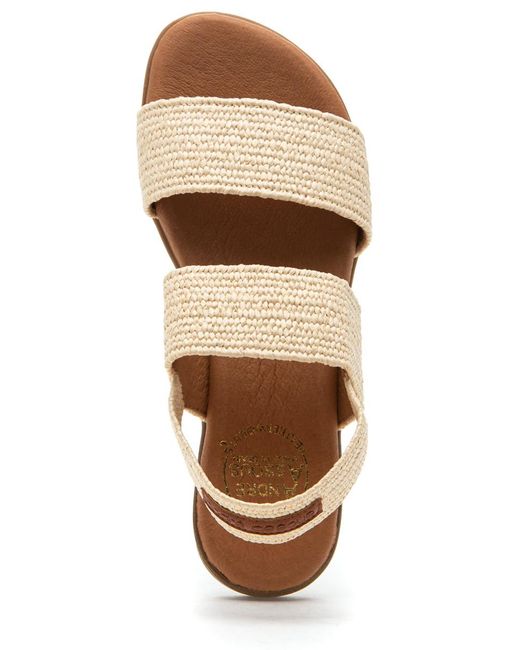 andre assous nigella