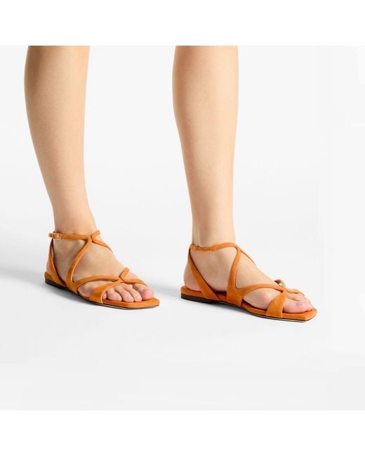 Jimmy Choo Brown Ayla Flat