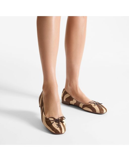 Jimmy Choo Brown Scarlett Suede Zebra Print Ballet Flats