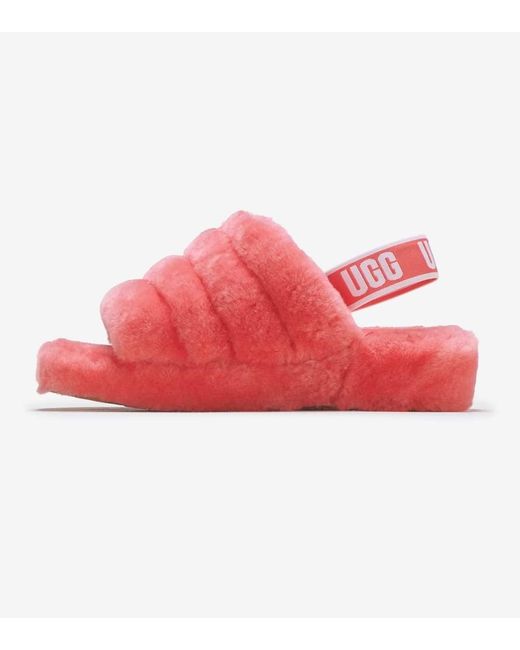 jimmy jazz uggs