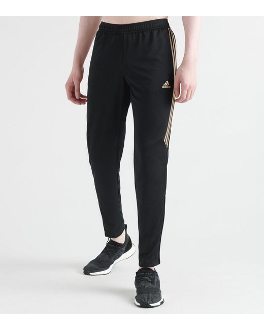 gold and black adidas pants