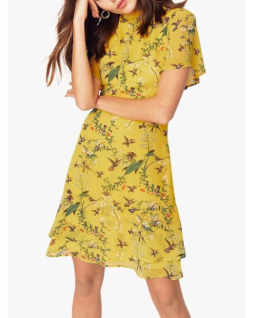 oasis floral print skater dress