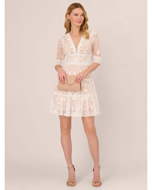 Adrianna Papell Natural Lace Embroidery Mini Dress