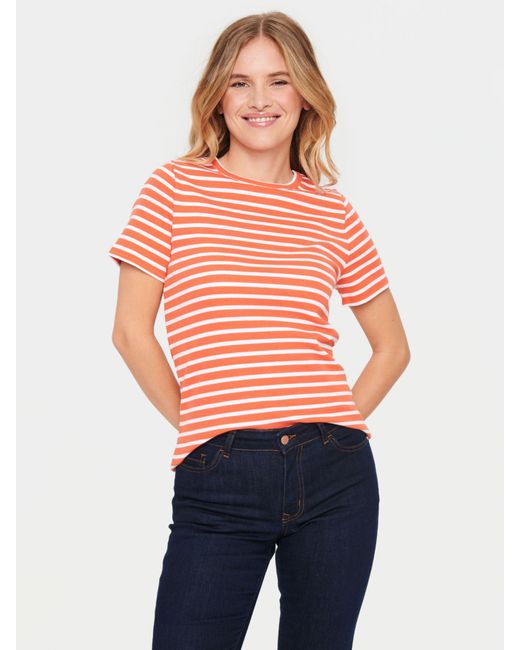 Saint Tropez Orange Aster Short Sleeve Stripe T-shirt
