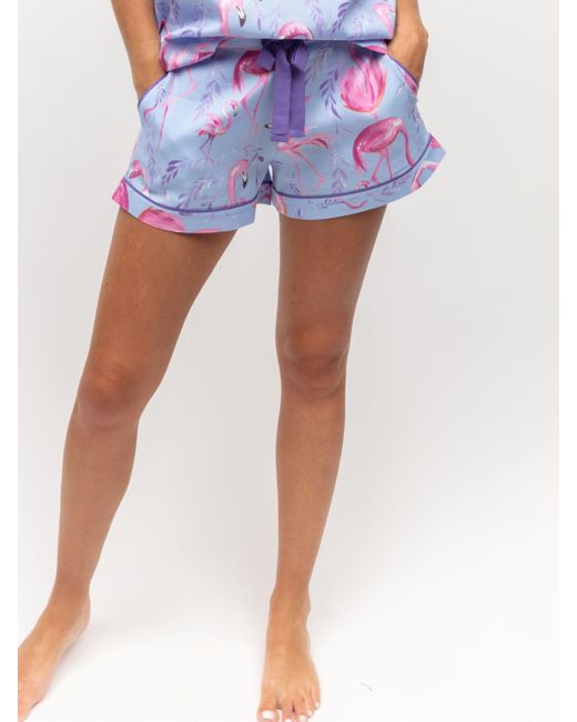 Cyberjammies Purple Zoe Flamingo Pyjama Shorts