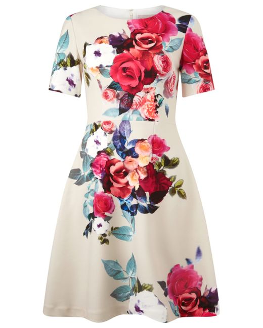 Phase Eight Multicolor Aurora Floral Dress