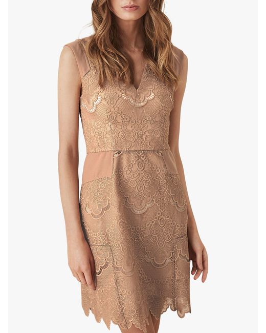 Reiss Natural Gemina - Lace Fit And Flare Dress