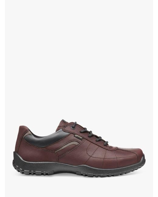 Hotter Brown Thor Ii Waterproof Walking Shoes for men