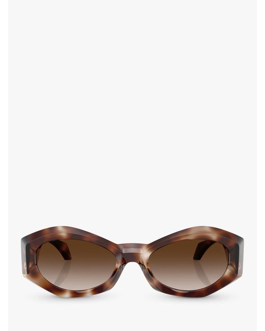 Versace Brown Ve4466u Oval Sunglasses