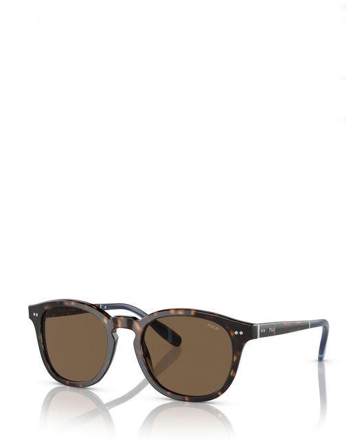 Ralph Lauren Gray Ph4206 Phantos Sunglasses for men