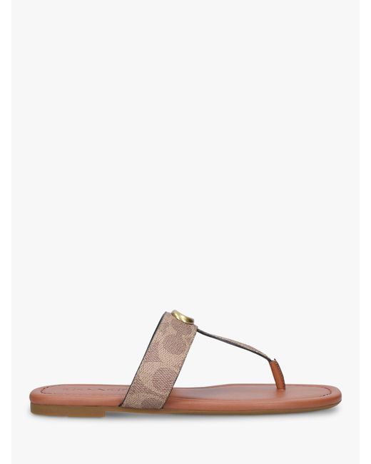 coach leather flip flops