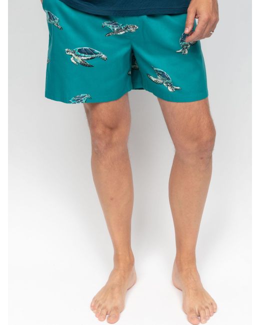 Cyberjammies Blue Turtle Print Pyjama Shorts for men