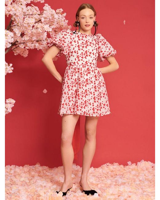 Sister Jane Red Dream Sakura Jacquard Mini Dress
