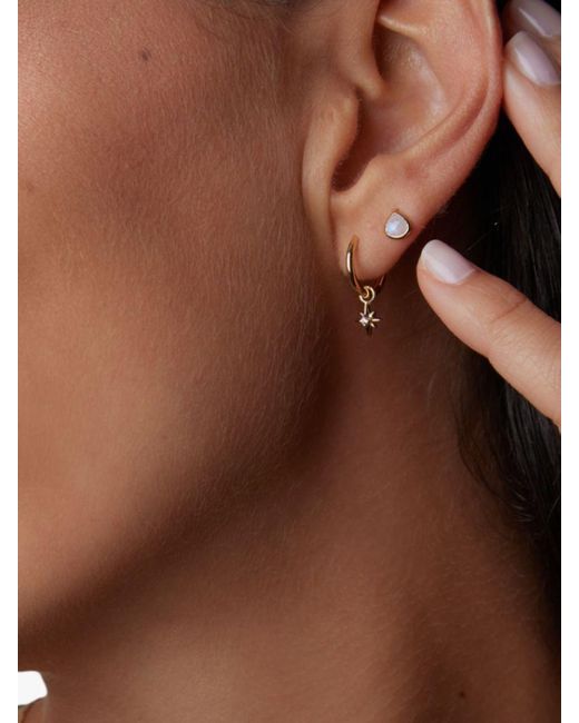 Orelia Metallic Luxe Semi Precious Moonstone Teardrop Stud Earrings