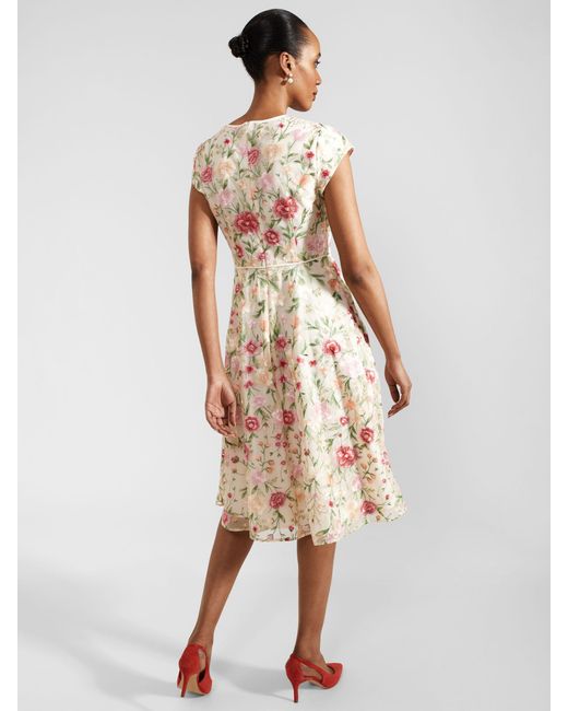 Hobbs Natural Tia Floral Embroidery Dress