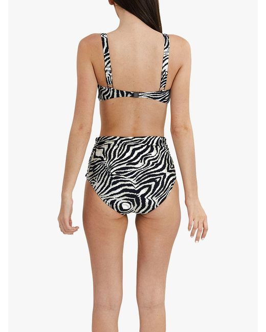 Panos Emporio Multicolor Medea Zebra Print Bikini Top