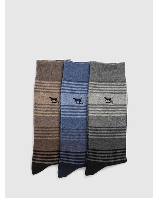 Rodd & Gunn Blue Stratford Stripe Socks for men