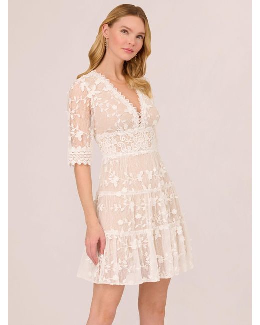 Adrianna Papell Natural Lace Embroidery Mini Dress
