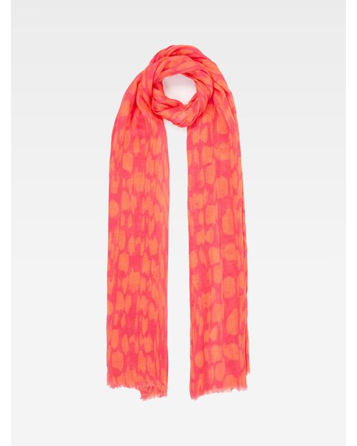French Connection Red Splodge Print Modal Scarf