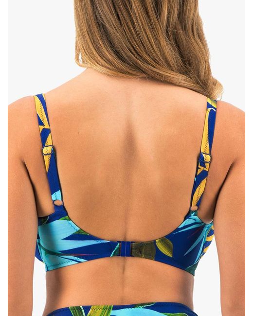 Fantasie Blue Pichola Tropical Print Underwired Gathered Full Cup Bikini Top