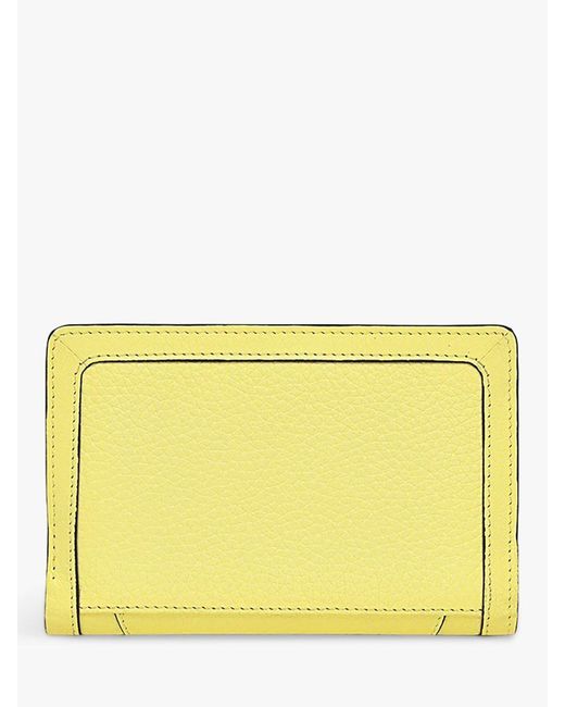 Radley Yellow Wood Street 2.0 Medium Leather Zip-top Purse