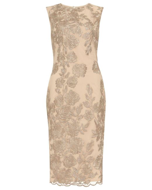 Phase Eight Natural 's Rhea Lace Floral Dress
