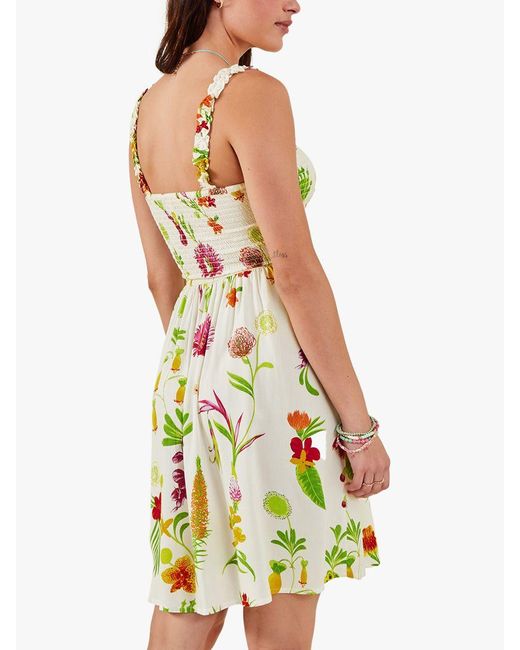 Accessorize Multicolor Botanical Print Dress